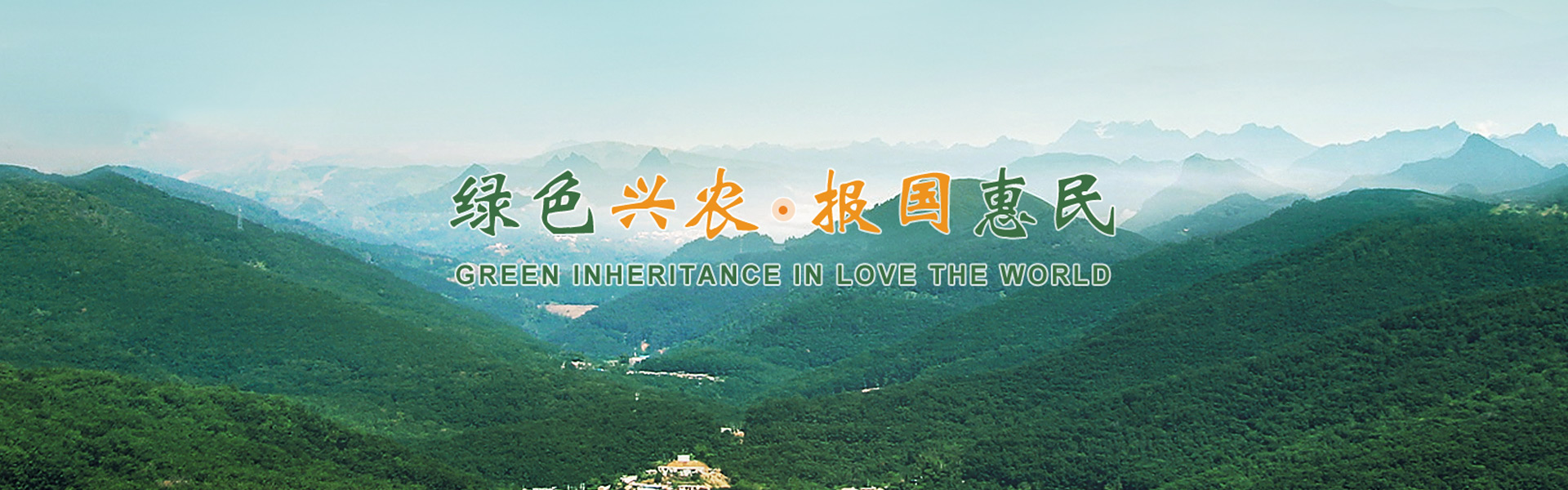 PC端幻燈二